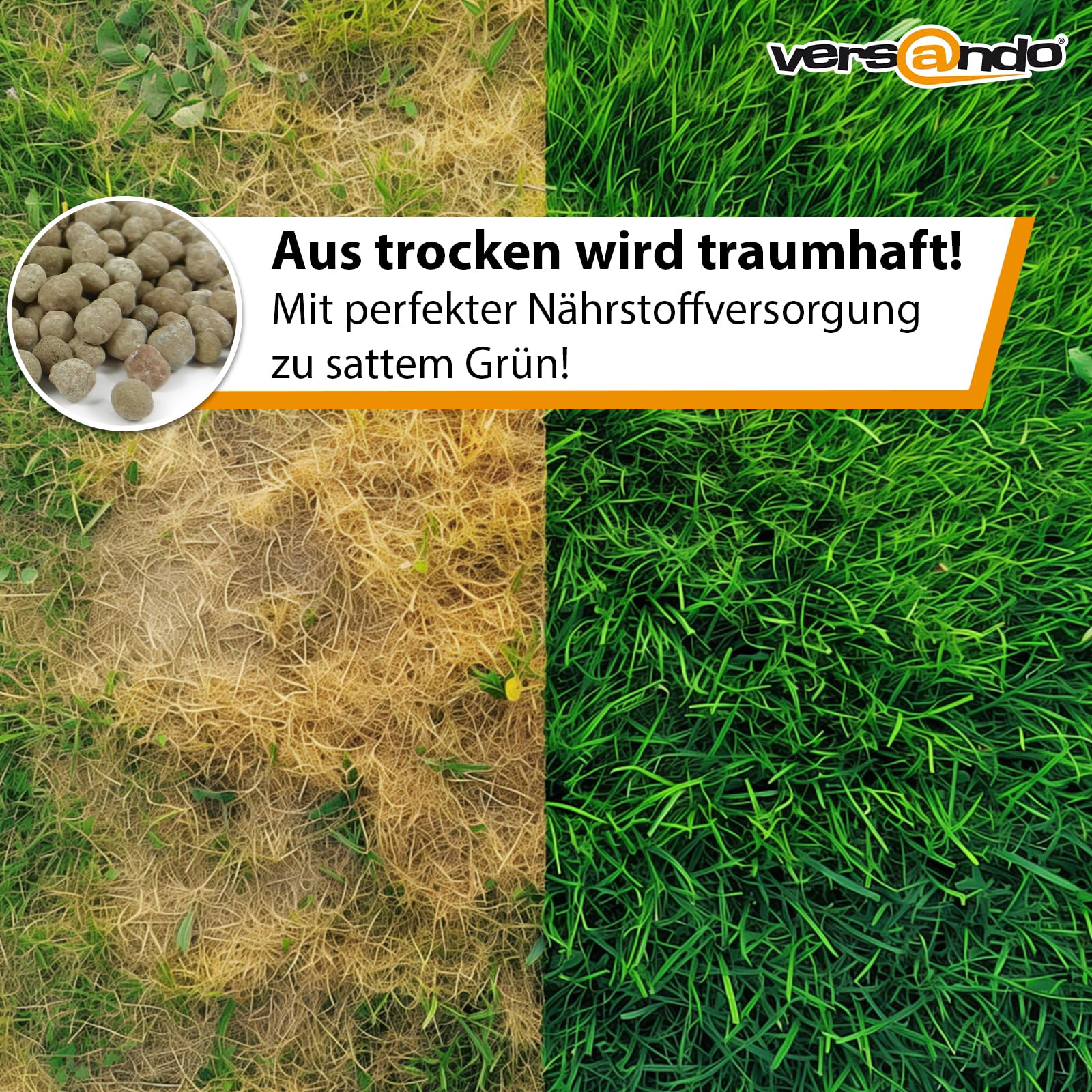 versando 10kg Rasendünger Sommer Langzeit bis 500m² ideal bei Hitze 2