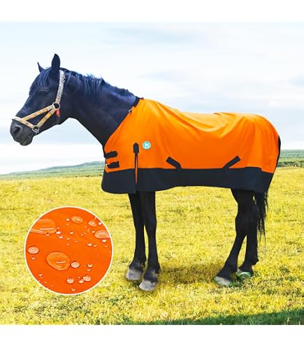 Rugged Ride 600 Denier Waterproof Adjustable Neck Turnout Blanket 200 Gram Fill