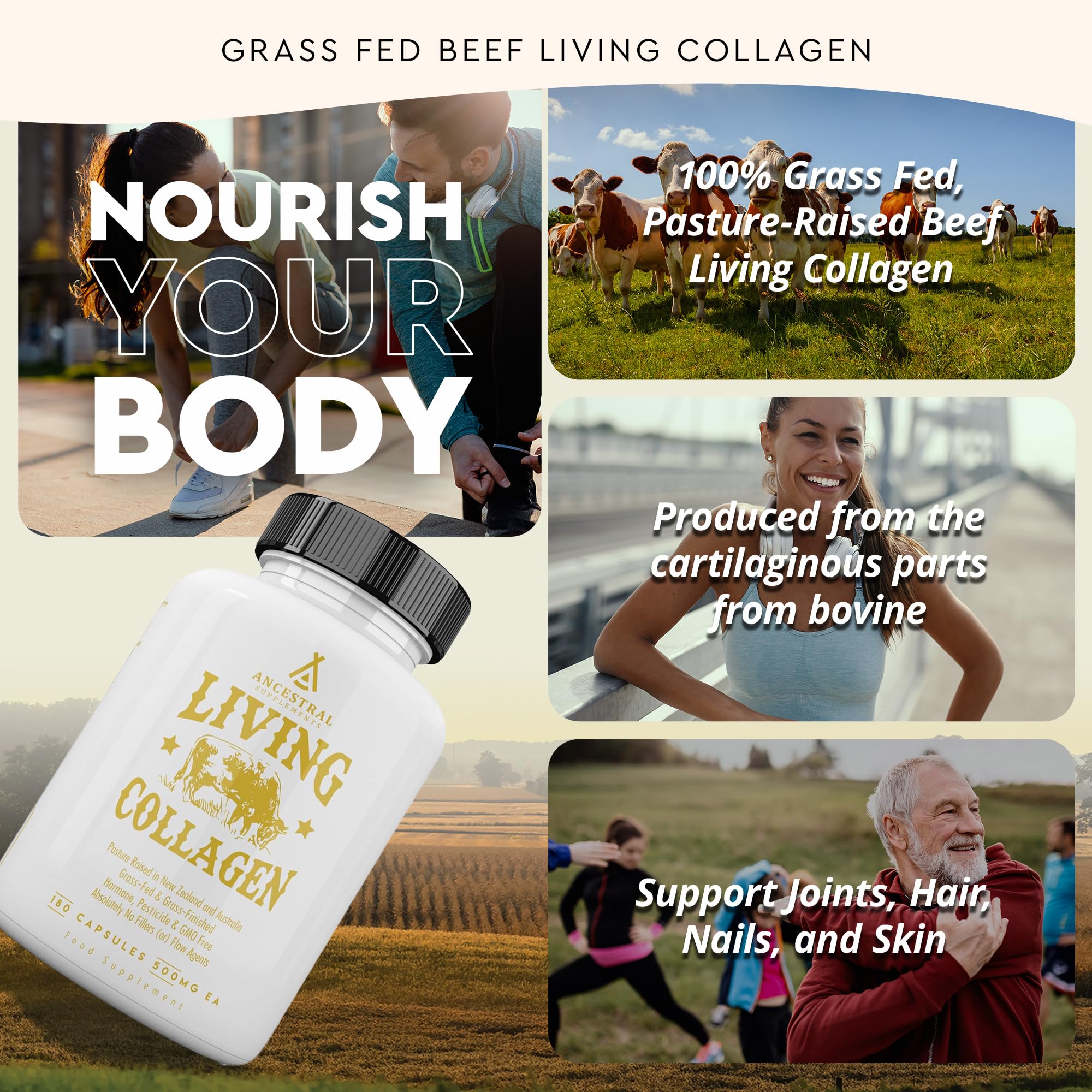 Ancestral Supplements Grass Fed Beef Living Collagen Nutritional Powder Supplement, 3000mg, Promotes Healthier, Younger Looking Skin, Hair, Nails and Joints, Type II, 180 Capsules