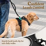 rabbitgoo Dog Harness Medium No Pull Front Back Leash Clips Reflective view 7