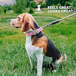 SparklyPets Small Dog Collar with Quick Release