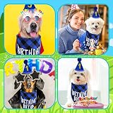Cobee Dog Birthday Bandana Hat Number Set 10 pcs Blue Glitter 8 Numbers view 7