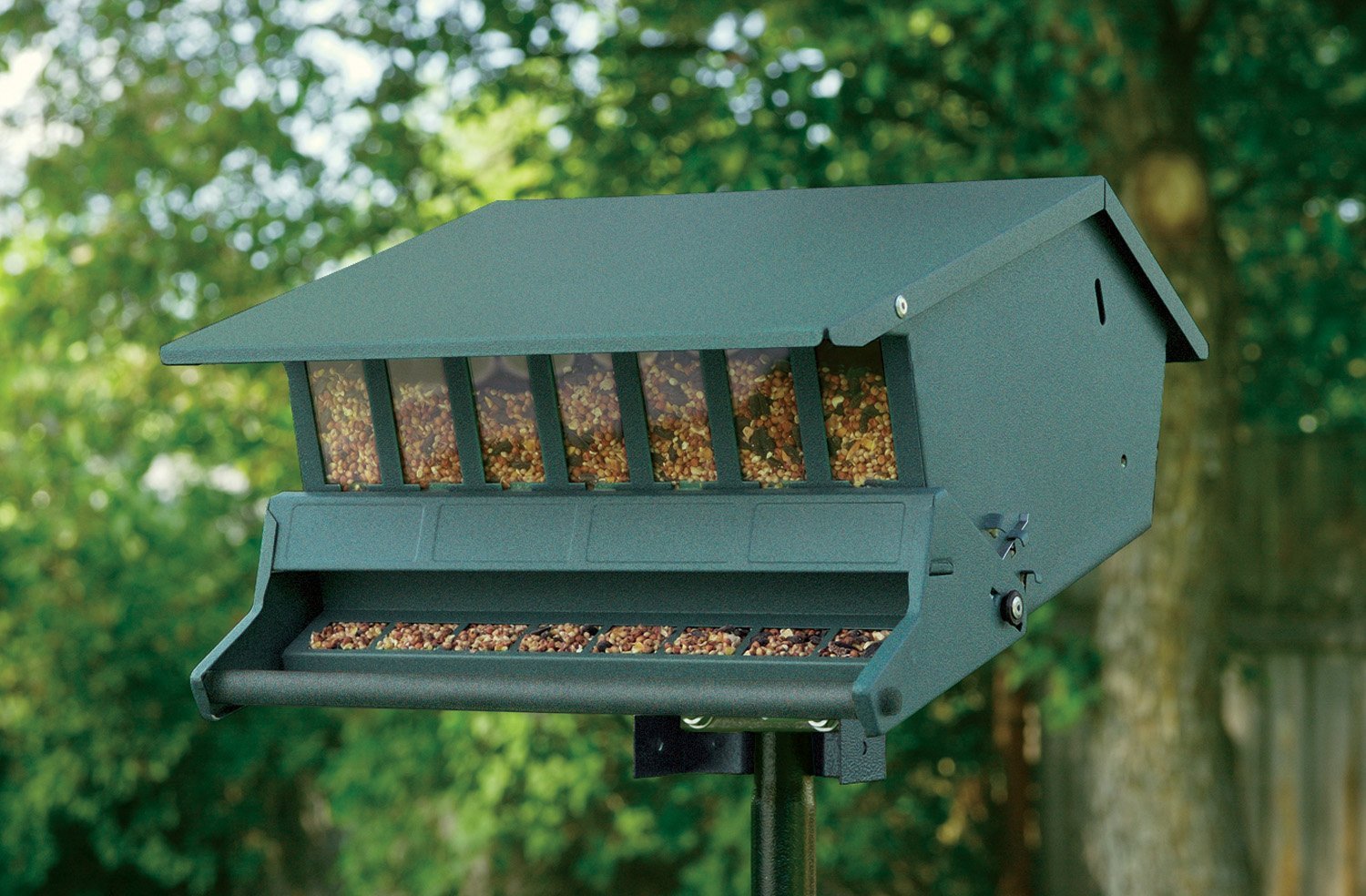 Amazon Com Audubon Bird S Delight Squirrel Resistant Bird Feeder
