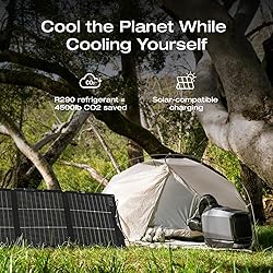 EF ECOFLOW WAVE 3 Portable Air
