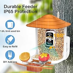 birdsnap® TUC- Bird Feeder with Camera 2K Live