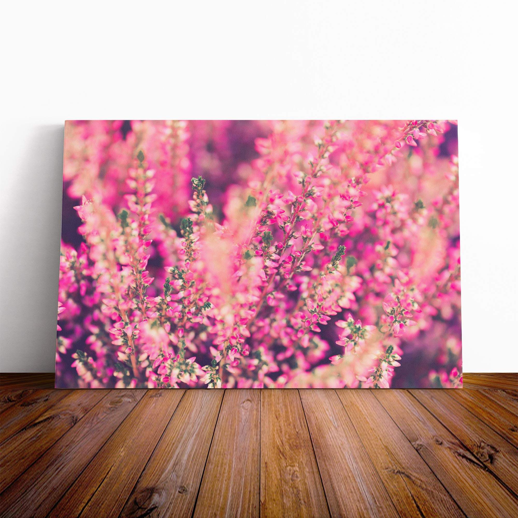 Pink Flower Heathers Canvas Print | Gallery Wrapped 30mm Frame Wall Art | 20x14 inches | Ready to Hang | Modern Floral Picture | Living Room Bedroom Lounge Office