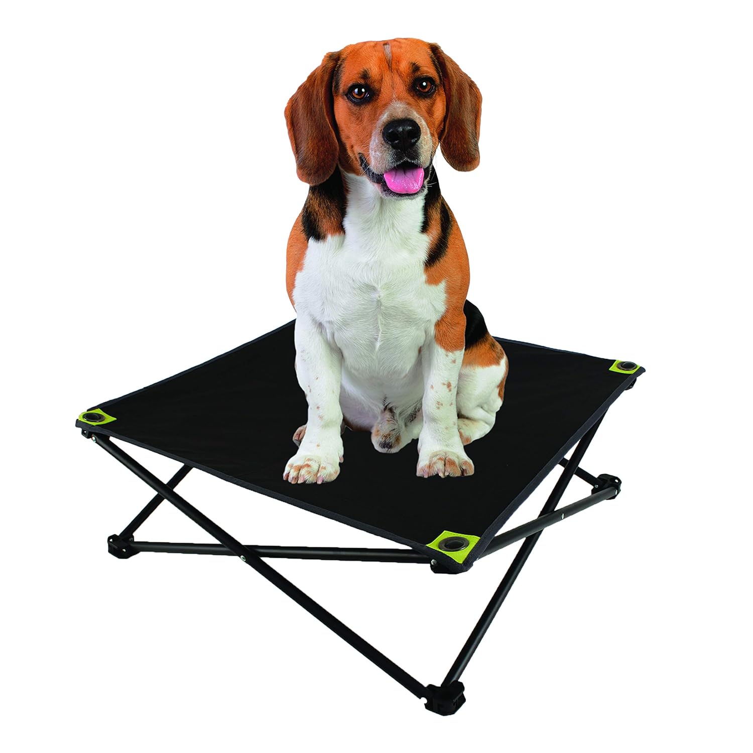 Hyper Pet Elevated Pet Bed For Small, Medium & Large Dogs