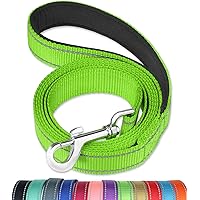 FunTags 6FT Reflective Dog Leash with Soft Padded Handle for Training,Walking Lead for Large & Medium Dog,1 Inch Wide,Green