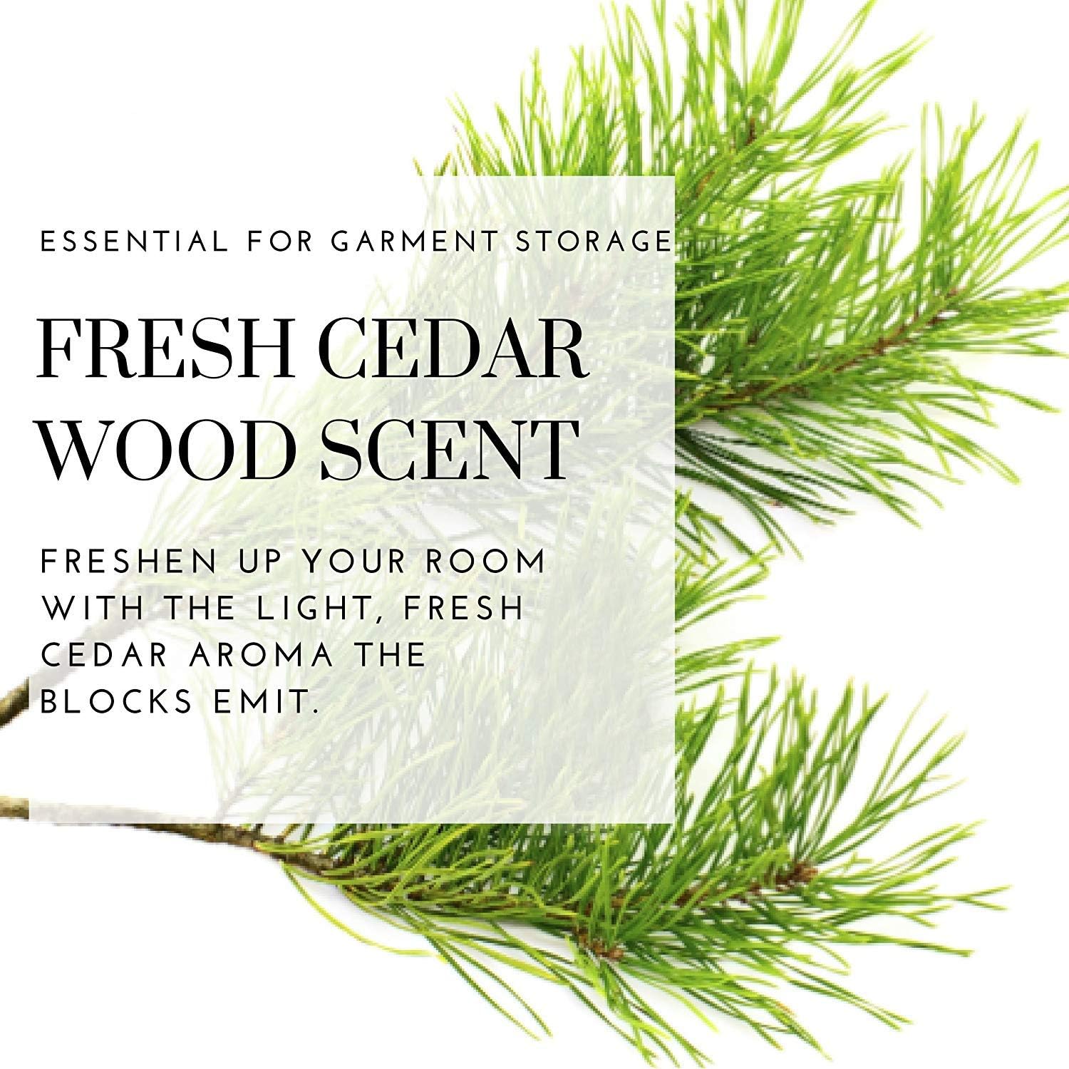 Cedar Space Cedarwood Moth Repellent Cedar Rings For Hangers 100