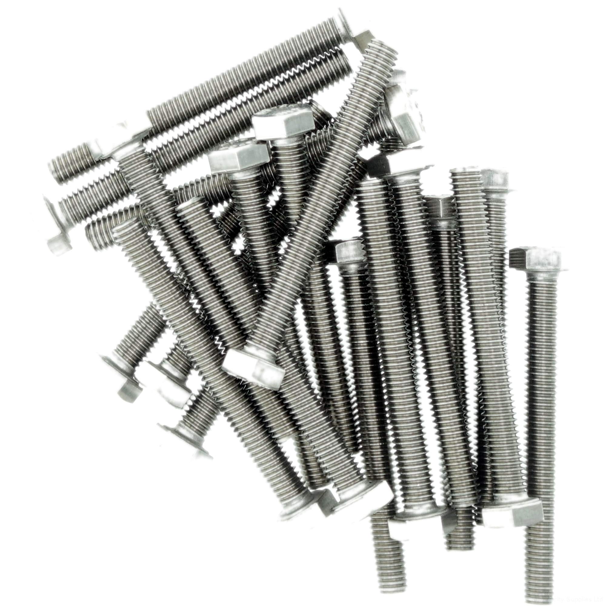 M6 (6mm x 55mm) Hex Bolt (Fully Threaded Setscrew) - Stainless Steel (A2) (Pack of 20)