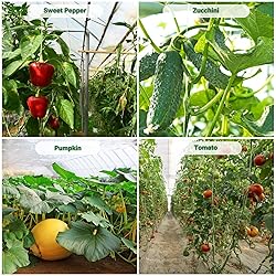 Fuuner Greenhouse Plastic Sheeting, 25 x 25FT 6Mil