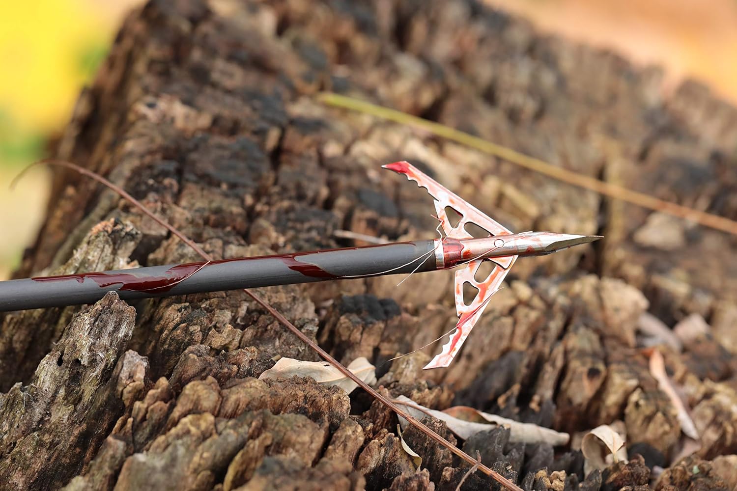 Rage Hypodermic Trypan Titanium Broadhead 100 Grain 2" Cut - 3 Pack : Sports & Outdoors