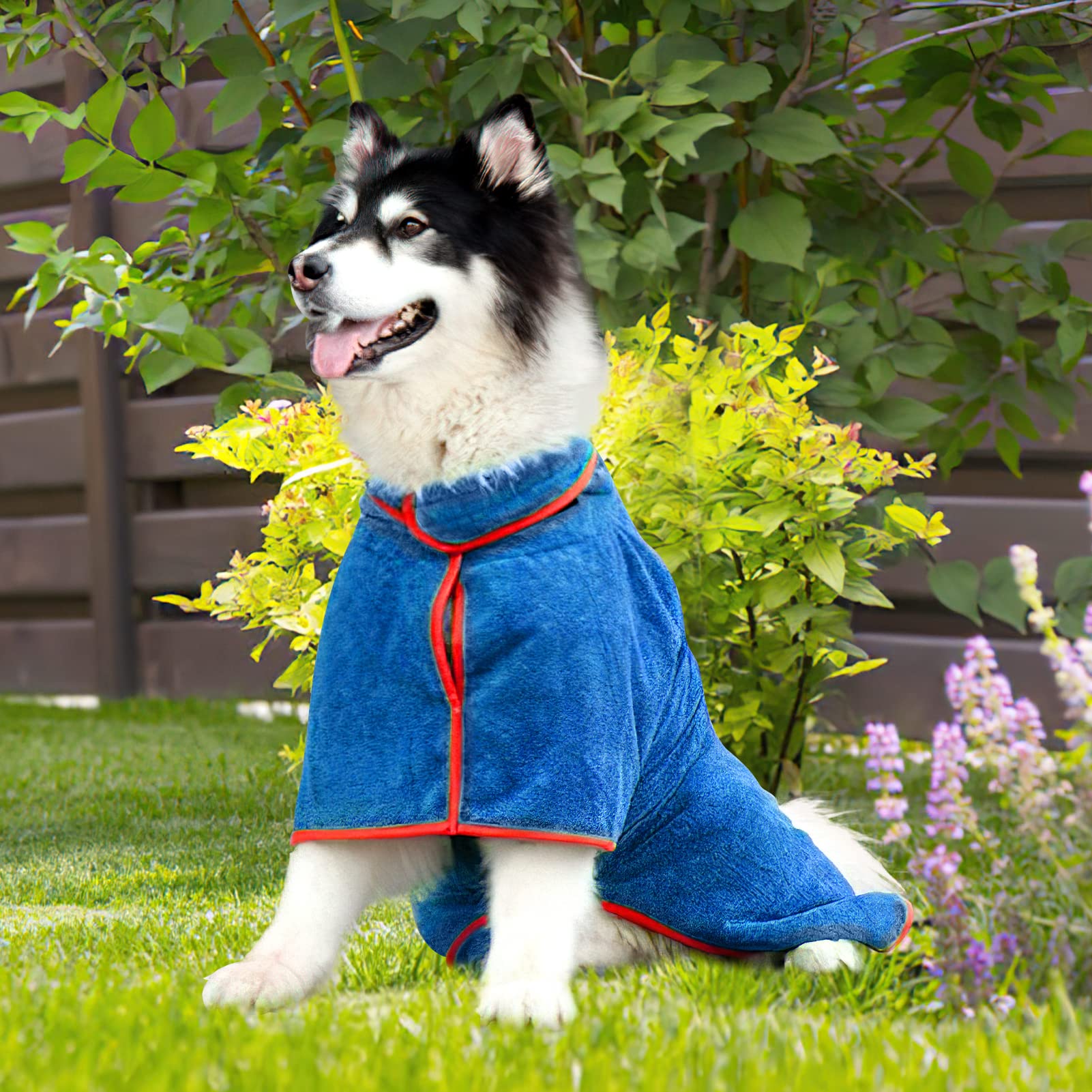 Macause Dog Drying Coat, Dog Bathrobe Pet Towel Microfiber Towel Dog Fast Drying Towel with Adjustable Collar & Waist Dog Dressing Gown Super Absorbent Robe for Pet Dogs Cats (Large, Blue)