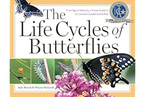 The Life Cycles of Butterflies: From Egg to Maturity, a Visual Guide to 23 Common Garden Butterflies