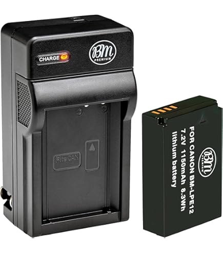 Amazon.com : Battery Pack for Canon PowerShot SX70 HS, SX70HS and