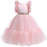 Weileenice Big/Little Girls Dress Butterfly Sleeve Ruffle Tulle Kids Princess Wedding Pageant Party Tutu Dresses