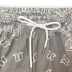 DIOTSR Mens Paisley Graphic Shorts Casual