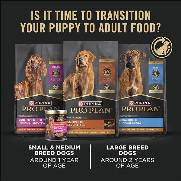 PURINA PRO PLAN DEVELOPMENT WET PUPPY FOOD, GRAIN FREE CHICKEN ENTREE AND GRAIN FREE TURKEY ENTREE VARIETY PACK – (PACK OF 12) 13 OZ. CANS