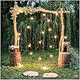 Baocicco 6x6ft Rustic Style Wedding Backdrop Outdoor Arch Doors for Engagement Ceremony Park Forest Photography Background Wedding Festival Lover Couples Portrait Studio Props