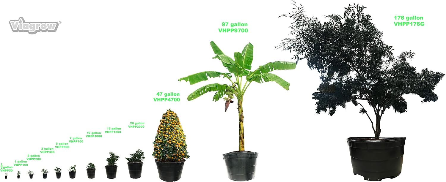 Viagrow 1 Gal. Plastic Nursery Pots (3.78 Liters) 10-Pack: Garden & Outdoor