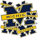 Desert Cactus University of Michigan Sticker Wolverines UM U of M Sticker Vinyl Decals Laptop Water Bottle Car Scrapbook Sheet T3 (Type 3-6)