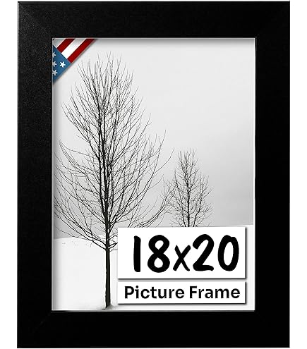 Amazon.com - ArtToFrames 18x20 inch Satin Black Picture Frame