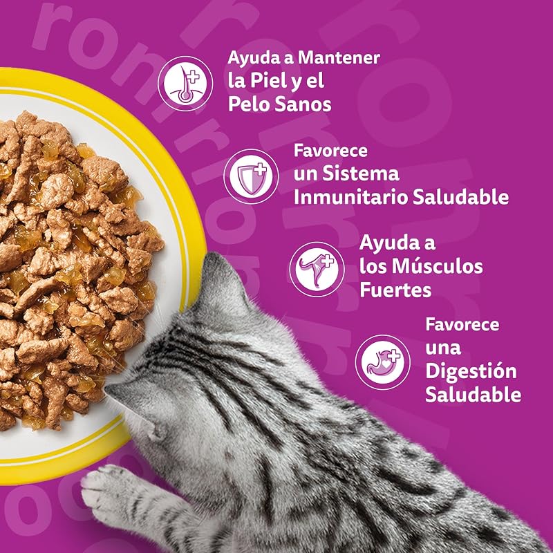 Comida Húmeda para Gatos Adultos Selección Aves en Gelatina (13x 4 bolsitas x85g)