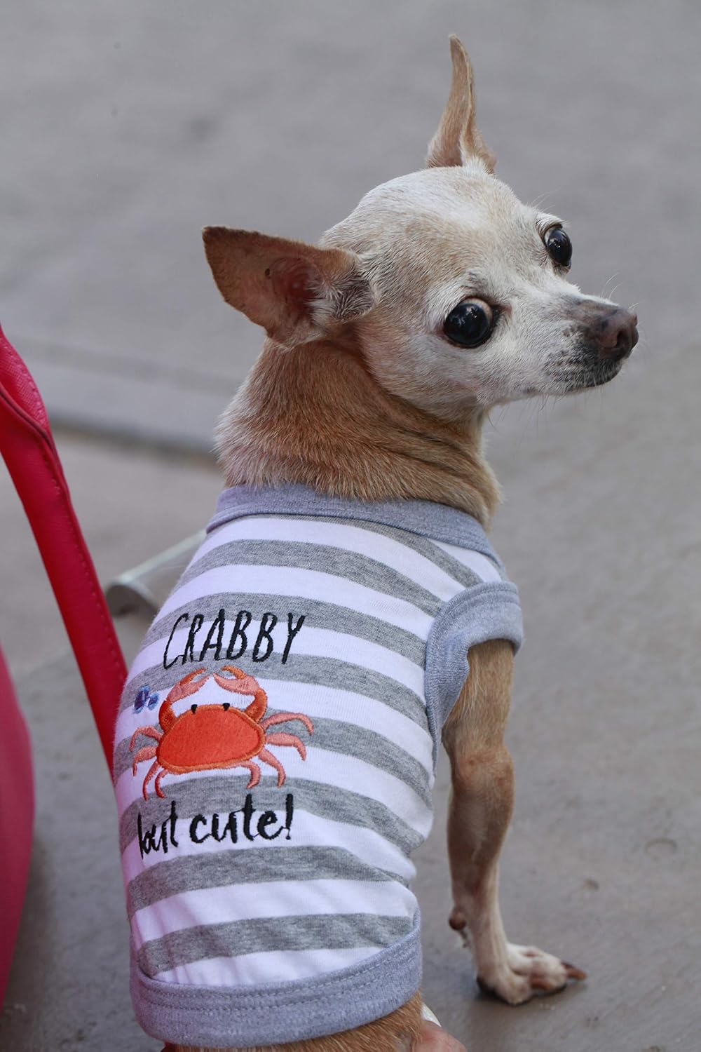 Parisian Pet Crab Tee Dog Clothes Tee T-Shirt, XS - Image 5