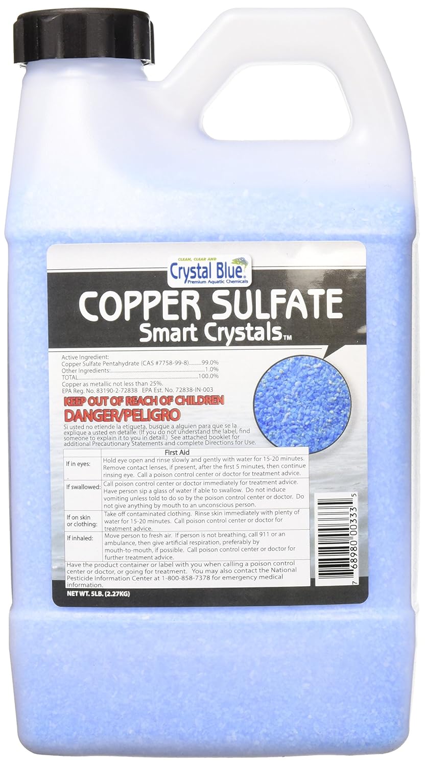 Best 24′ Horse Statues Home Decor