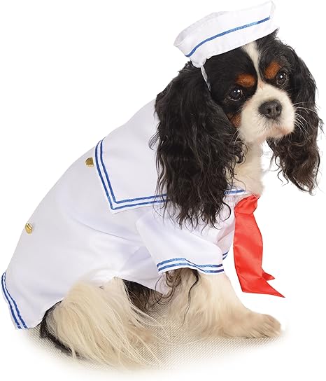 dog with sailor hat