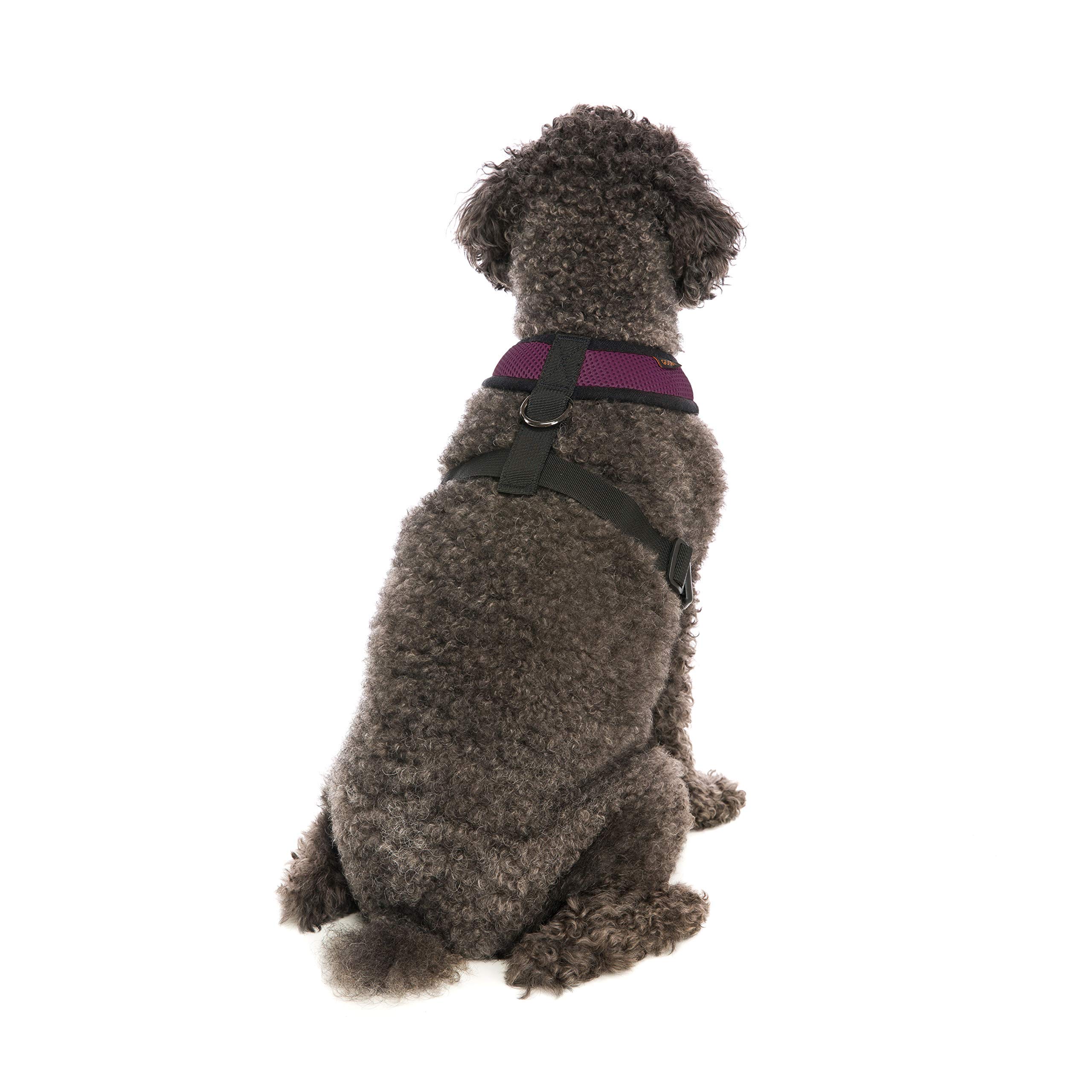 Product Photo 5