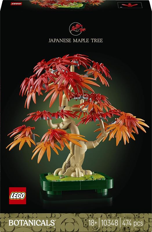 Botanicals Bonsaï d’érable Rouge du Japon 10348