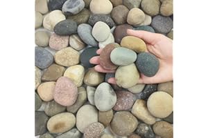FANTIAN 5 lbs Pebbles for Plants, 1-2 Inch Decorative River Rocks for Plants Indoor, Landscape, Garden, Aquarium, Fountain, Walkways and Outdoor Decorative Stones
