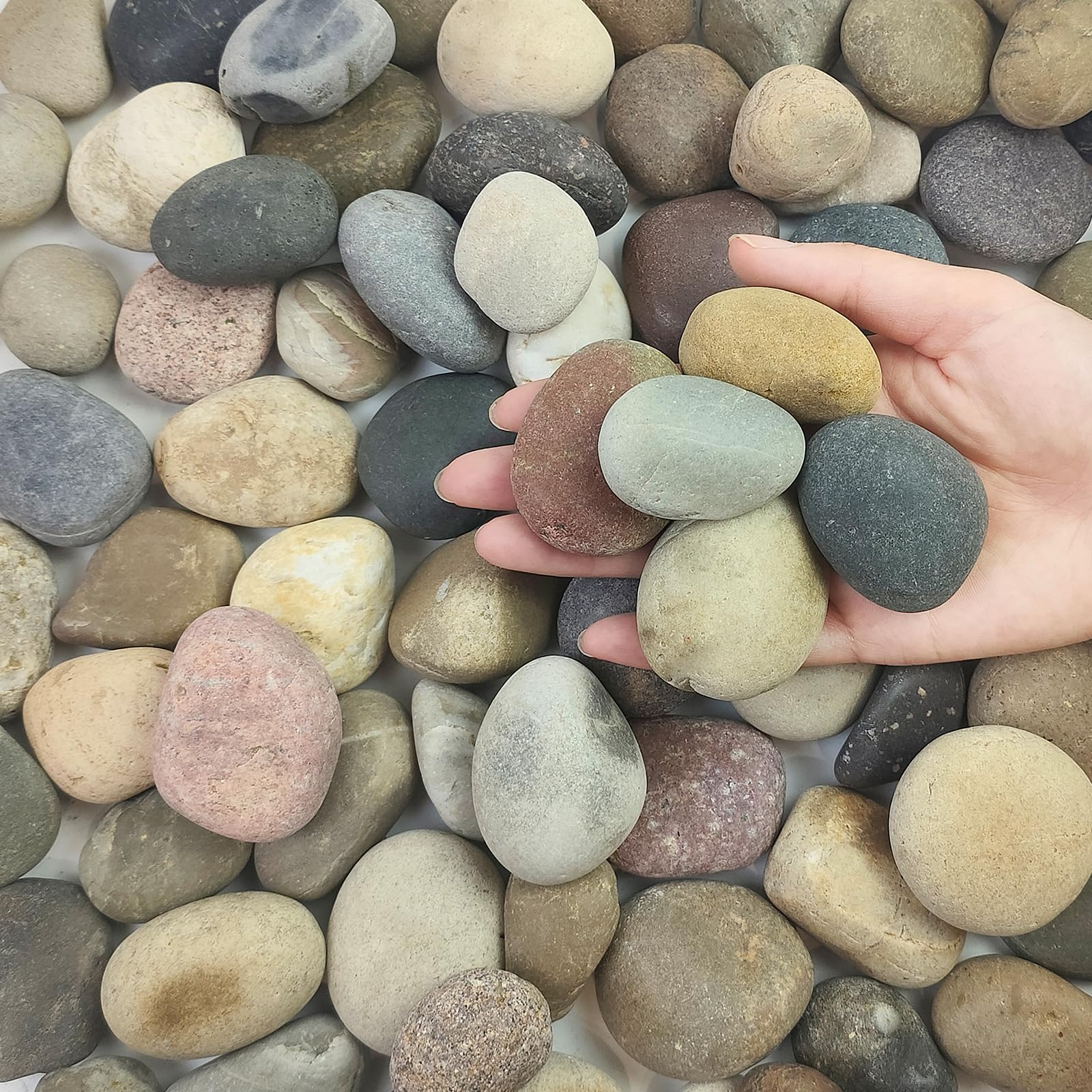 FANTIAN 4.5 kgs Garden Stones,2-4 cm Beach Cobbles. Decorative Pebbles for Garden, Ponds, Water Features, Aquarium Stones, Borders and Ground Cover