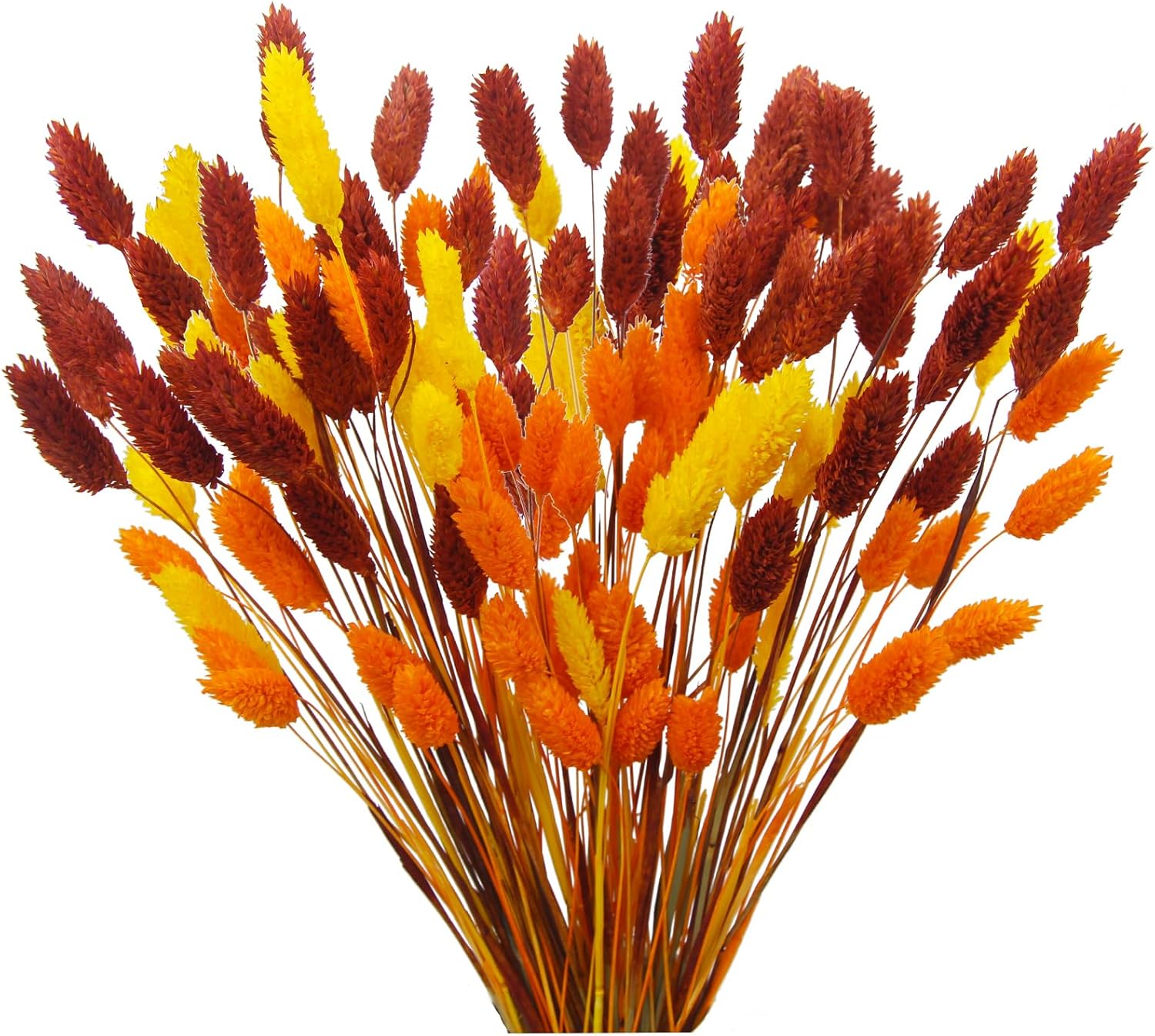 Dried & Preserved Flora - CISDUEO 100 Pcs Artificial Flower Fall Dried Flowers Decor Natural Dried Pampas Grass Fall Flower Bouquets Gem Grass Orange Yellow for Autumn Vase Filler Floral Arrangements Boho Home Table Wedding