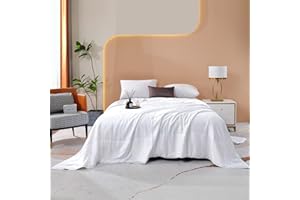 THE COTTON & SILK®️ Machine Washable Silk Quilt/Bedspread/Blanket/Duvet Insert for Summer - Silk Filling, Premium Cotton Shell - Luxury, Ultra Soft, Breathable, Body-Hugging - White, Queen Size