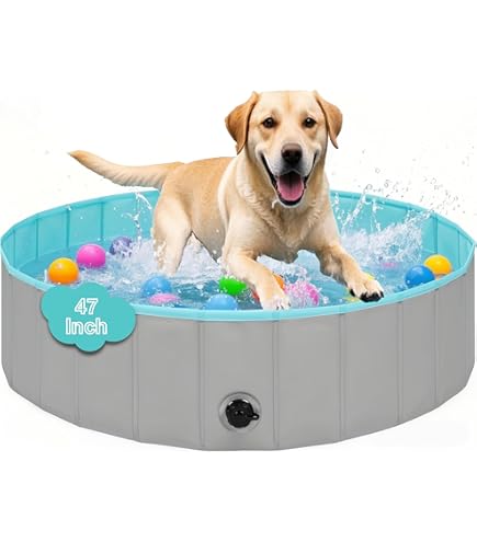 Large Foldable Dog Pool 20"x20" - Hard Sided Pet Paddling
