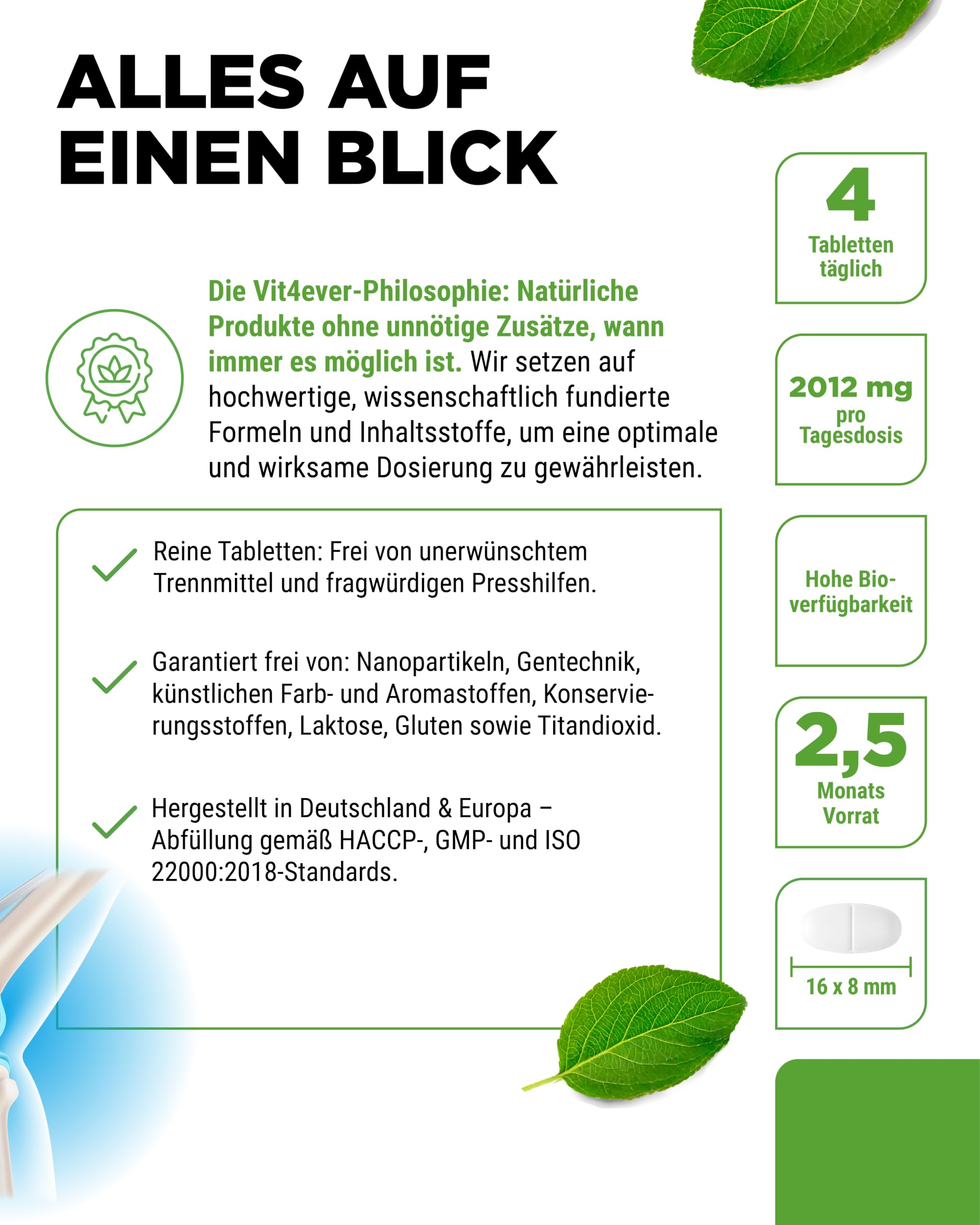 vit4ever Glucosamin Chondroitin MSM - 300 Tabletten - 4-in-1 Formel 6