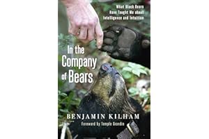 In the Company of Bears: What Black Bears Have Taught Me about Intelligence and Intuition