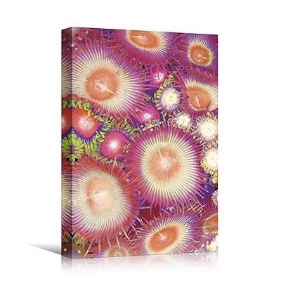 SIGNWIN Canvas Wall Art Green, Yellow, Red and...