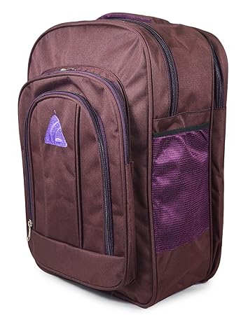 Shaina Bags Boys and Girls Fabric and Canvas 15.6-inch Laptop Bag (Multicolour)