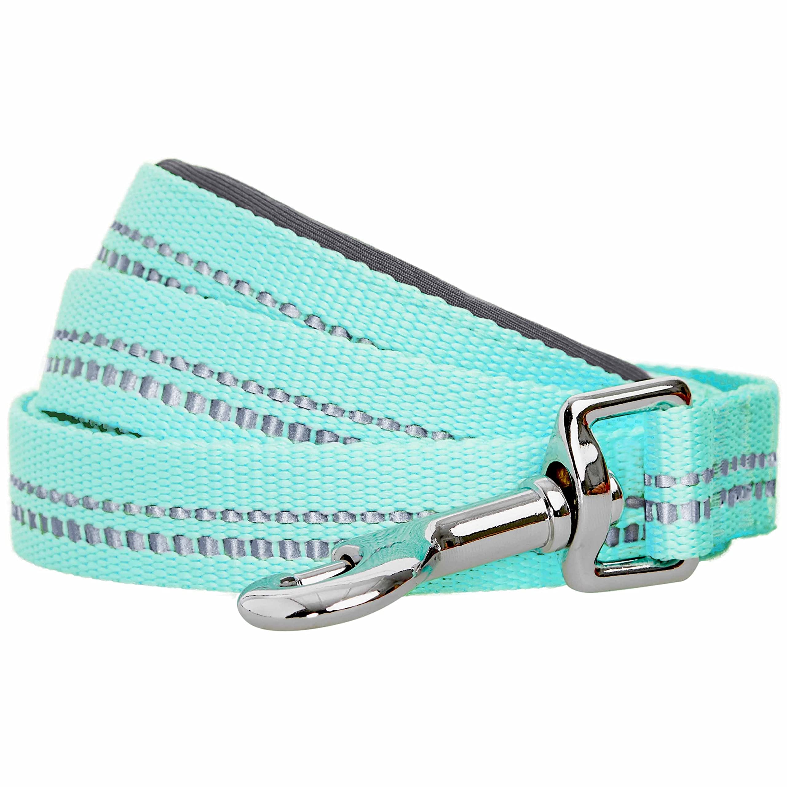 Blueberry Pet 3M Reflective Pastel Color Dog Leash with Soft & Comfortable Handle, 150 cm x 2cm, Mint Blue, Medium, Leashes for Dogs