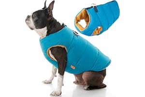 Gooby Padded Vest Dog Jacket - Solid Turquoise, Medium - Warm Zip Up Vest Fleece Jacket with Dual D Ring Leash - Water Resistant Sweater - Clothes for Small and Medium Dogs