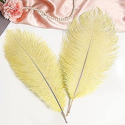THARAHT Light Yellow Ostrich Feathers 12pcs Large