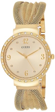 Chiffon Analog Champagne Dial Women's Watch - W1083L2