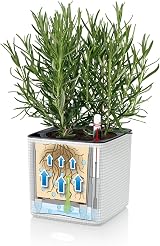 Lechuza Self Watering Plant Pot Green Wall Kit with Water Level Indicator view 6