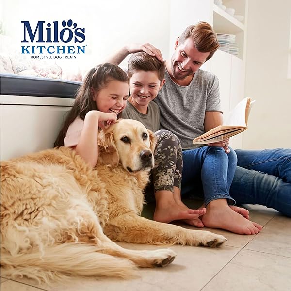 MILO’S KITCHEN HOMESTYLE DOG TREATS, CHICKEN & APPLE SAUSAGE SLICES, 18 OUNCE, HIGH PROTEIN, NO ARTIFICIAL FLAVORS