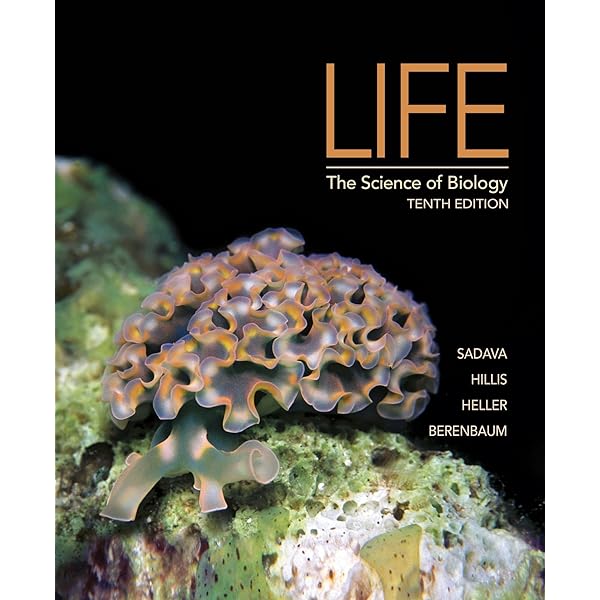 Life the Science of Biology　12版　洋書 Life: The Science of Biology Digital Update 12th Edition