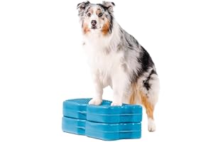 Blue-9 Propel Air Platform Kit, Professionally Designed Dog Training Accessories and Pet Products, Made in The USA, 2-Pack, Turquoise