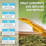 Riare 200g Natural Sphagnum Moss for Reptile Terrarium Bedding view 3
